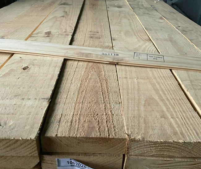 通州阿根廷松木